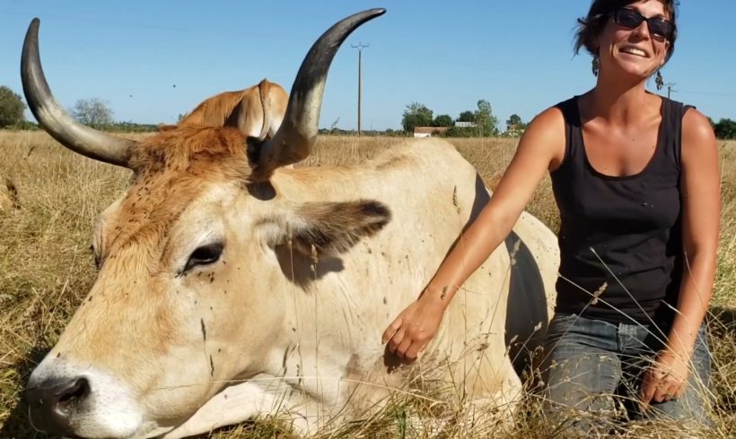 Lucie Maritaud - Ferme de l'Avocette rieuse - Photo © AALVIE