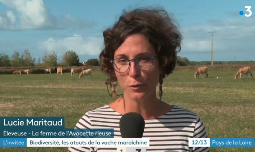 Micro-filière Biodiversités maraichines sur France 3 Pays de la Loire