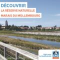 Les hivernants du Müllembourg