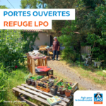 Portes ouvertes Refuges LPO : Jardin de Michèle