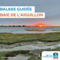 La baie au fil des saisons