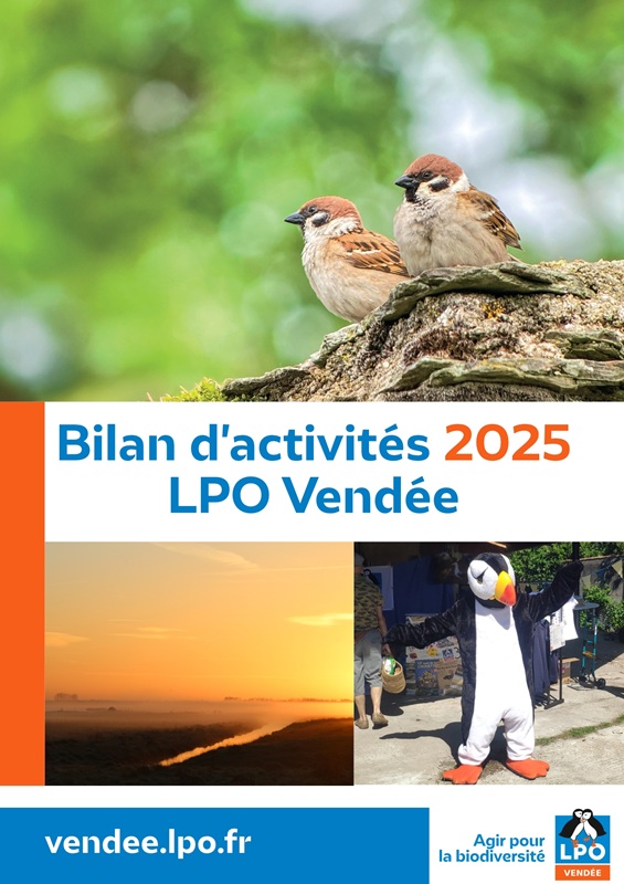 Bilan d'activités 2025 de la LPO Vendée