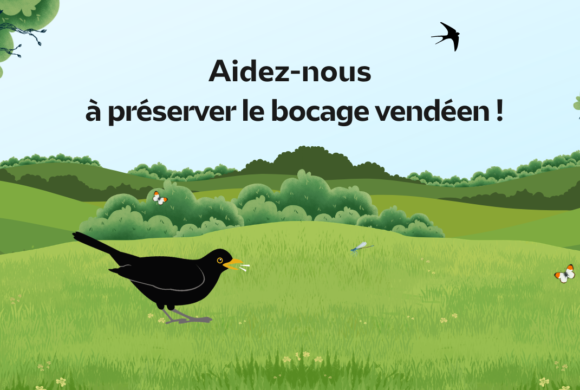Appel à dons : aidez nous à préserver le bocage vendéen Appel à dons : aidez nous à préserver le bocage vendéen