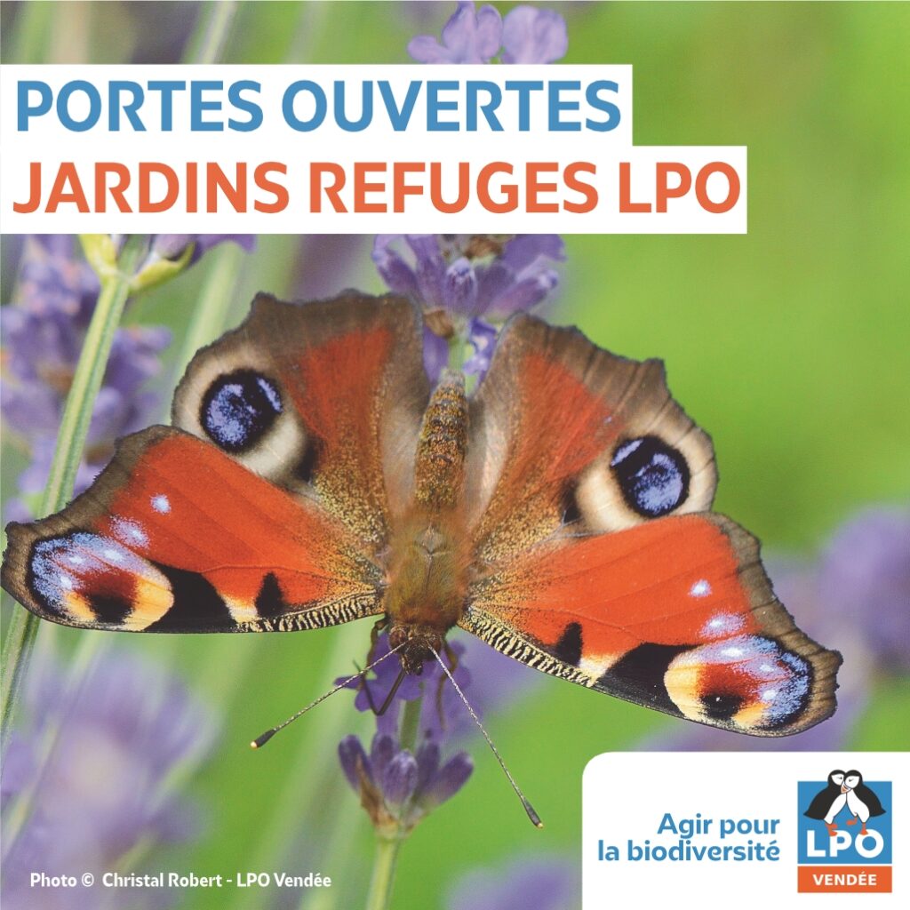 Lpo85 Visuel Carre Portes Ouvertes Refuges Lpo