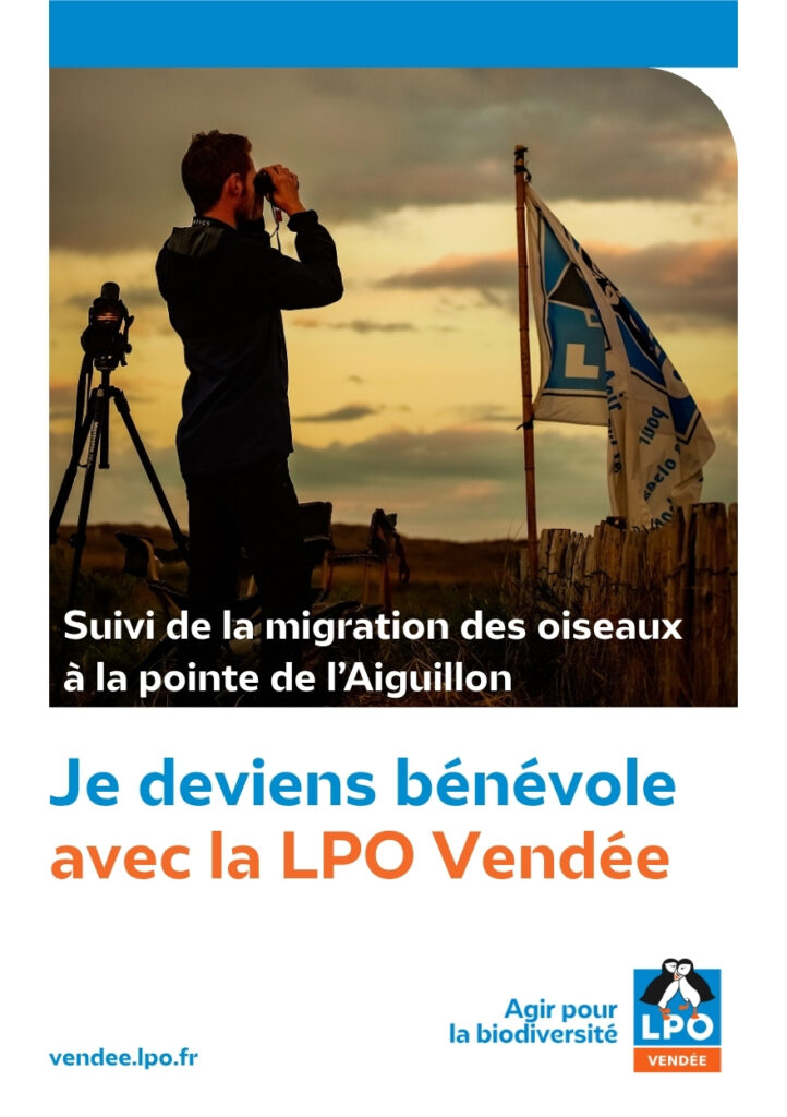 Guide du bénévole Suivi de la migration des oiseaux à la pointe de l'Aiguillon - 2026 © LPO Vendée