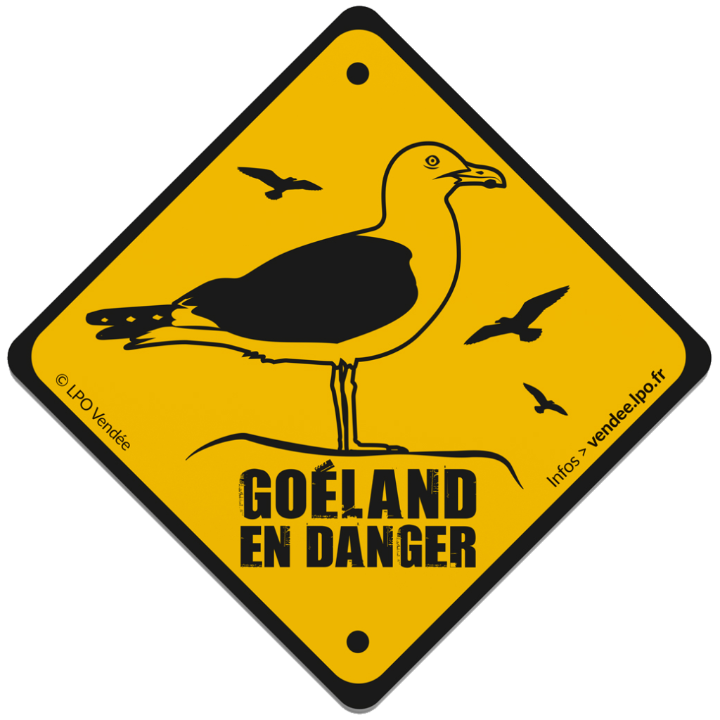 Goéland en danger (Sticker © LPO Vendée)