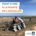Oiseaux migrateurs - Point d'observation à La Pointe