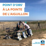 Oiseaux migrateurs - Point d'observation à La Pointe