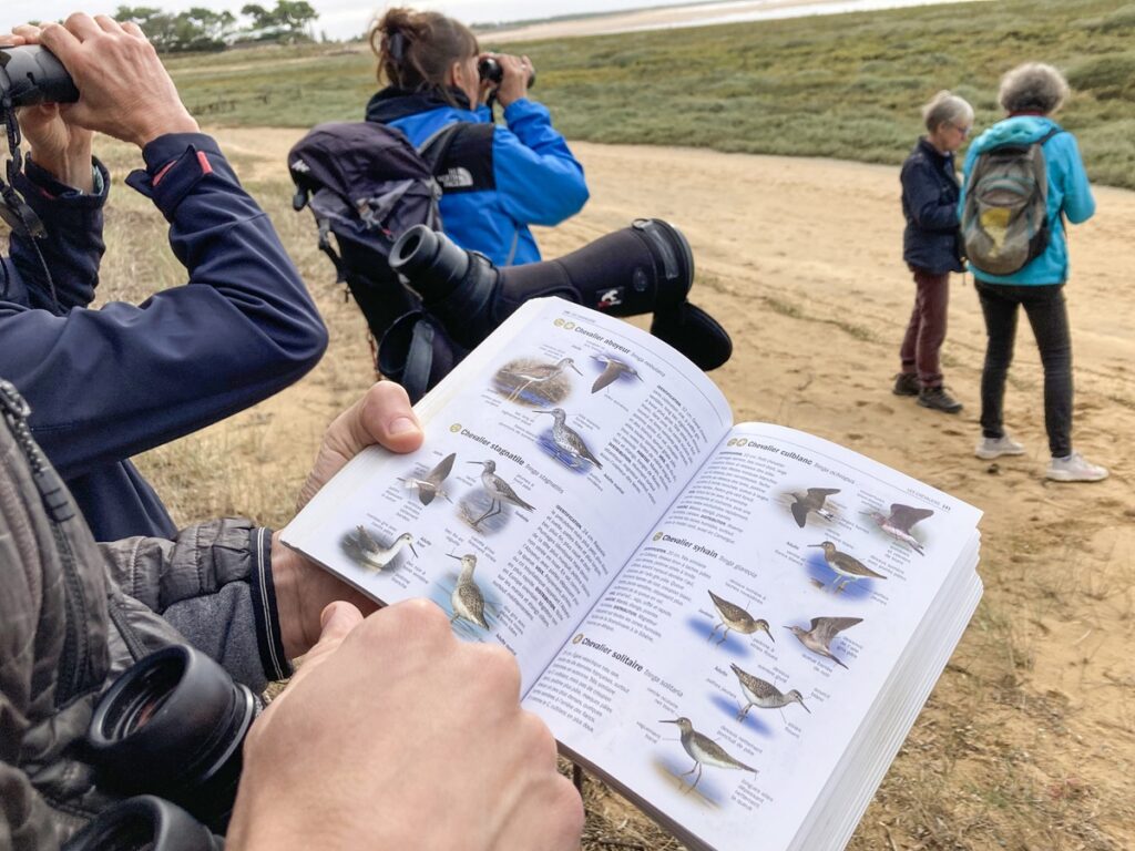 Sortir avec la LPO Vendée - Photo © Sébastien Batard Web