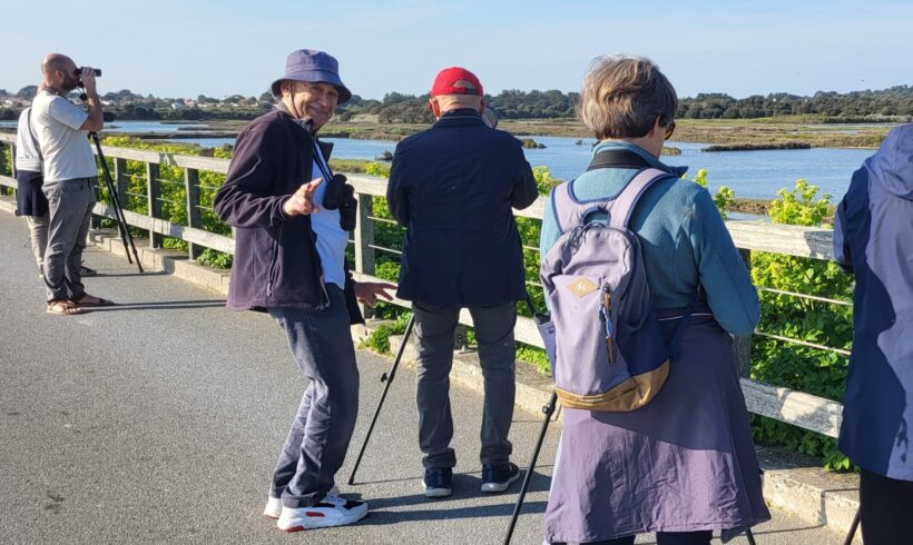 Groupe local LPO de Noirmoutier - Photo © Dominique Gonse