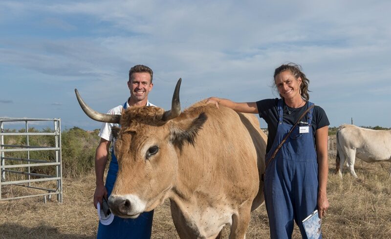 Filière Biodiversités Maraîchines - Photo © Philippe Rocher